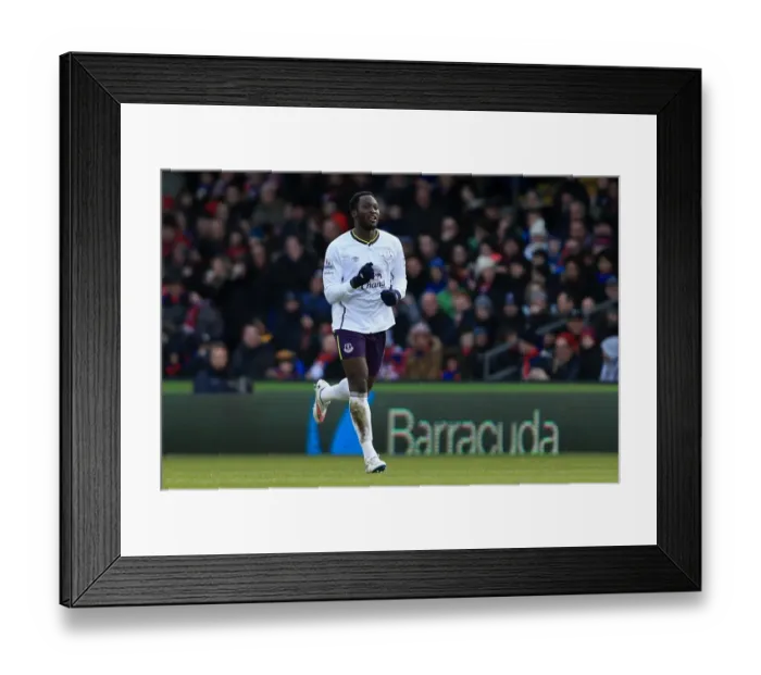 Framed Print : Romelu Lukaku Scores Opening Goal: Crystal Palace vs. Everton, Barclays Premier League at Selhurst Park Framed Print : Romelu Lukaku Scores Opening Goal: Crystal Palace vs. Everton, Barclays Premier League at Selhurst Park