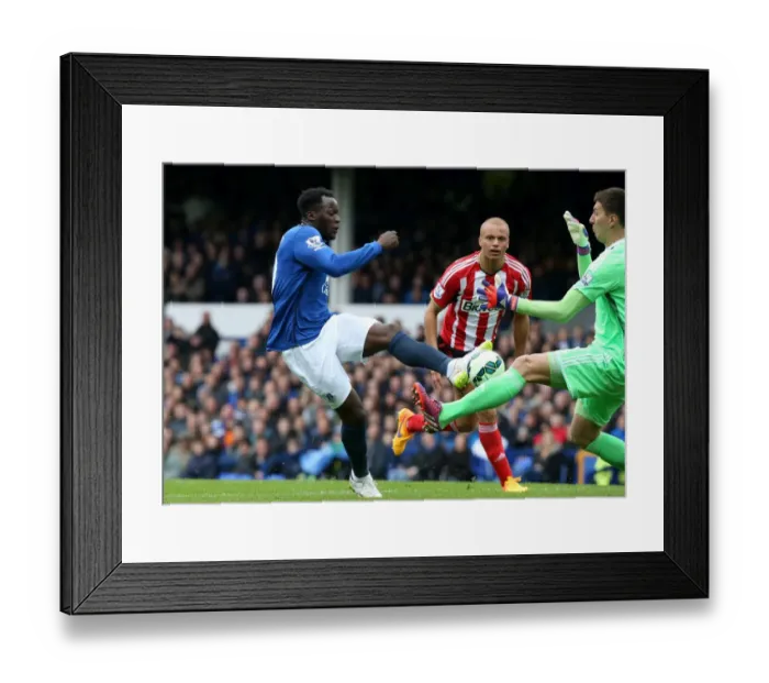 Framed Print : Denied Glory: Lukaku vs. Pantilimon - Everton's Heartbreaking Miss at Goodison Park Framed Print : Denied Glory: Lukaku vs. Pantilimon - Everton's Heartbreaking Miss at Goodison Park