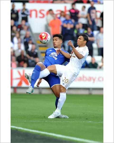 Barclays Premier League - Swansea City v Everton - Liberty Stadium