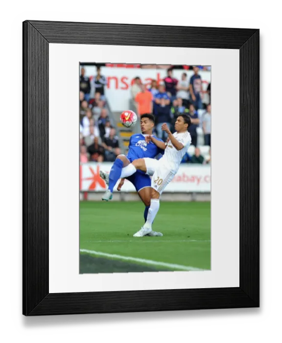 Framed Print : Barclays Premier League - Swansea City v Everton - Liberty Stadium Framed Print : Barclays Premier League - Swansea City v Everton - Liberty Stadium