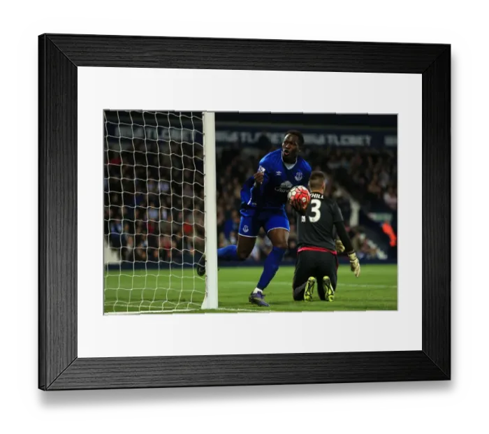 Framed Print : Lukaku's Equalizer: West Bromwich Albion vs. Everton, Barclays Premier League