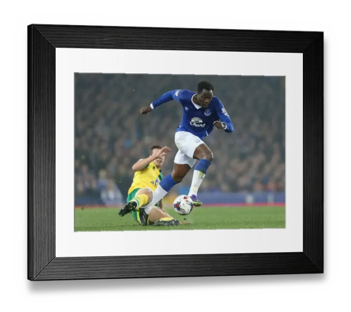 Framed Print : Capital One Cup - Fourth Round - Everton v Norwich City - Goodison Park Framed Print : Capital One Cup - Fourth Round - Everton v Norwich City - Goodison Park
