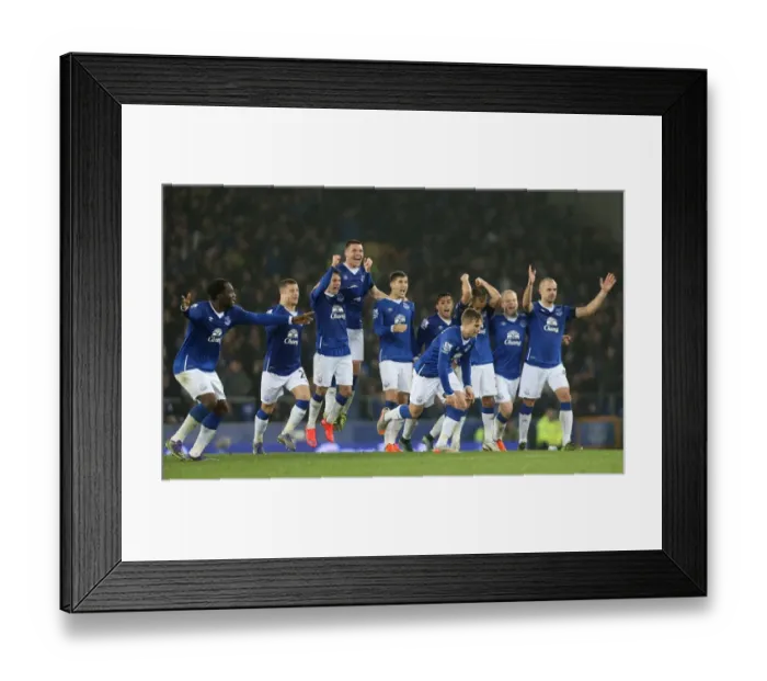 Framed Print : Everton's Penalty Triumph: Capital One Cup Fourth Round Victory over Norwich City Framed Print : Everton's Penalty Triumph: Capital One Cup Fourth Round Victory over Norwich City