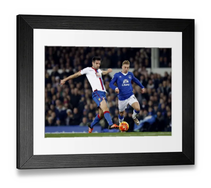 Framed Print : Barclays Premier League - Everton v Crystal Palace - Goodison Park Framed Print : Barclays Premier League - Everton v Crystal Palace - Goodison Park