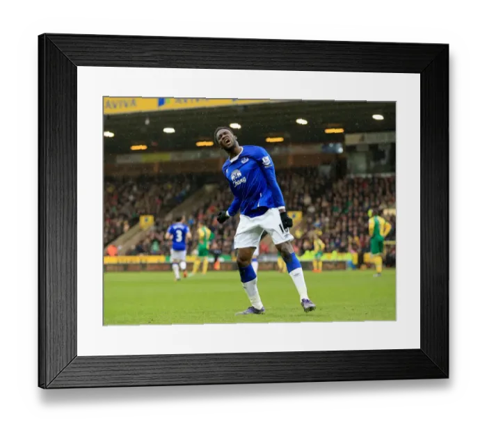Framed Print : Romelu Lukaku's First Goal: Norwich City vs. Everton, Premier League - Lukaku Celebrates at Carrow Road Framed Print : Romelu Lukaku's First Goal: Norwich City vs. Everton, Premier League - Lukaku Celebrates at Carrow Road