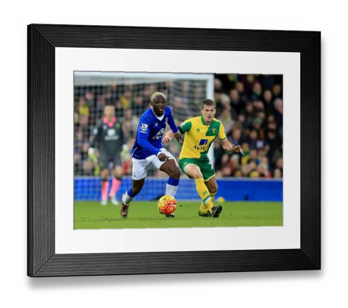 Framed Print : Barclays Premier League - Norwich City v Everton - Carrow Road Framed Print : Barclays Premier League - Norwich City v Everton - Carrow Road