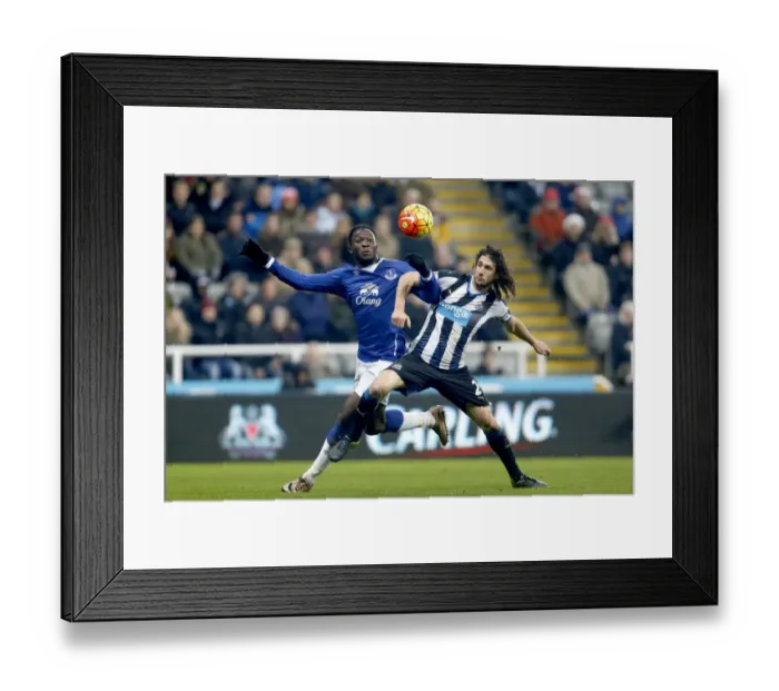 Framed Print : Lukaku vs. Coloccini: A Football Rivalry at St. James Park - Everton vs. Newcastle United Framed Print : Lukaku vs. Coloccini: A Football Rivalry at St. James Park - Everton vs. Newcastle United