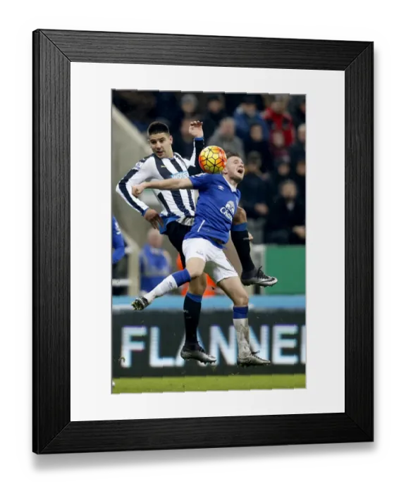 Framed Print : Intense Rivalry: Mitrovic vs. Cleverley Battle for Ball in Newcastle United vs. Everton Premier League Clash