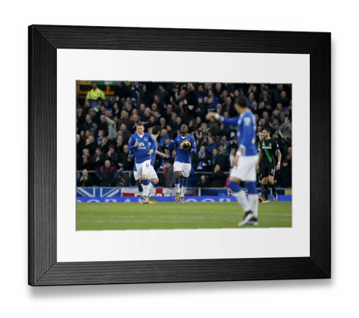 Framed Print : Romelu Lukaku Scores the Thriller: Everton's First Goal Wins Against Stoke City (BPL, Goodison Park) Framed Print : Romelu Lukaku Scores the Thriller: Everton's First Goal Wins Against Stoke City (BPL, Goodison Park)