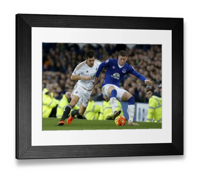Framed Print : Intense Rivalry: Barkley vs. Cork - Everton vs Swansea City, Barclays Premier League, Goodison Park Framed Print : Intense Rivalry: Barkley vs. Cork - Everton vs Swansea City, Barclays Premier League, Goodison Park