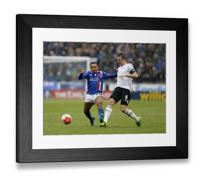 Framed Print : FA Cup Showdown: Jagielka vs Asamoah - Everton vs Carlisle United at Brunton Park Framed Print : FA Cup Showdown: Jagielka vs Asamoah - Everton vs Carlisle United at Brunton Park