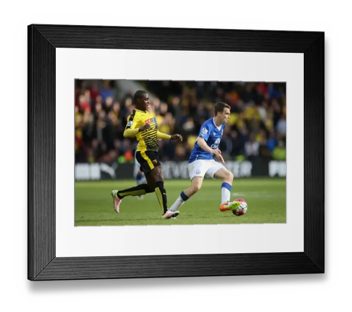 Framed Print : Seamus Coleman in Action: Everton vs. Watford, Barclays Premier League (APR 2016) Framed Print : Seamus Coleman in Action: Everton vs. Watford, Barclays Premier League (APR 2016)