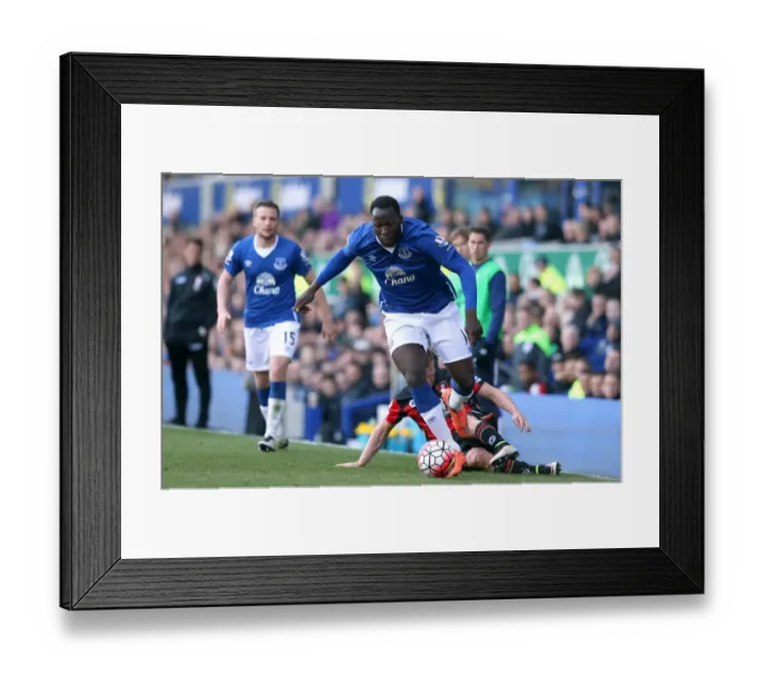 Framed Print : Everton vs AFC Bournemouth: Lukaku vs Ritchie - Battle for Ball Supremacy at Goodison Park Framed Print : Everton vs AFC Bournemouth: Lukaku vs Ritchie - Battle for Ball Supremacy at Goodison Park