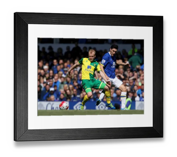 Framed Print : Everton vs Norwich City: Gareth Barry Tackles Steven Naismith at Goodison Park