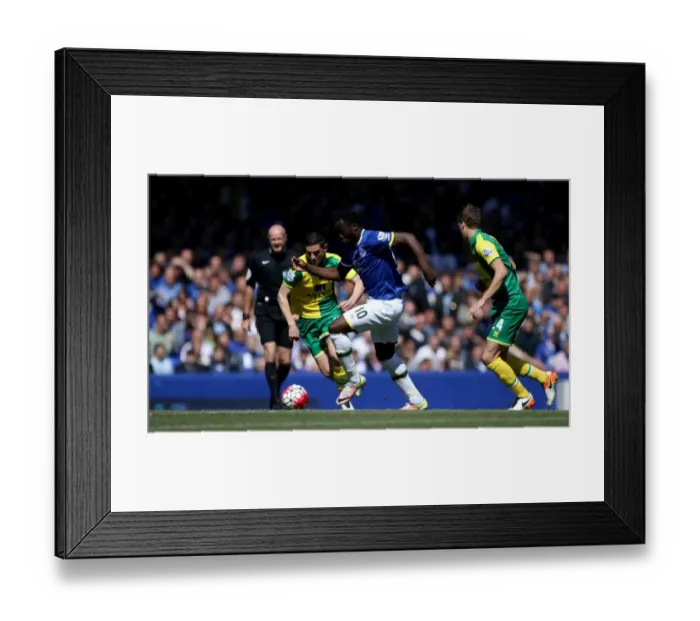 Framed Print : Everton vs Norwich City: Lukaku vs Dorrans - Battle for Supremacy at Goodison Park Framed Print : Everton vs Norwich City: Lukaku vs Dorrans - Battle for Supremacy at Goodison Park