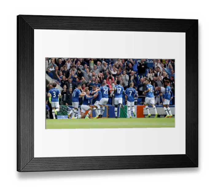 Framed Print : Premier League - Everton v Tottenham Hotspur - Goodison Park Framed Print : Premier League - Everton v Tottenham Hotspur - Goodison Park