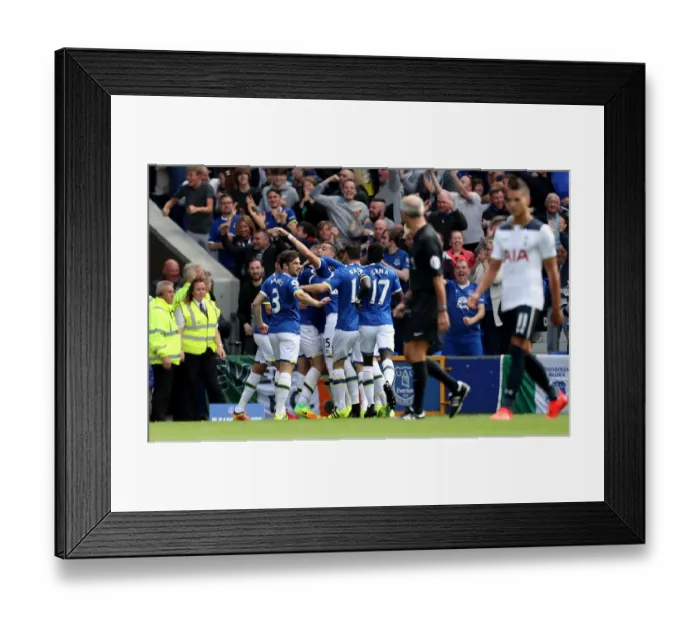 Framed Print : Ross Barkley Scores First Goal: Everton vs. Tottenham Hotspur at Goodison Park Framed Print : Ross Barkley Scores First Goal: Everton vs. Tottenham Hotspur at Goodison Park