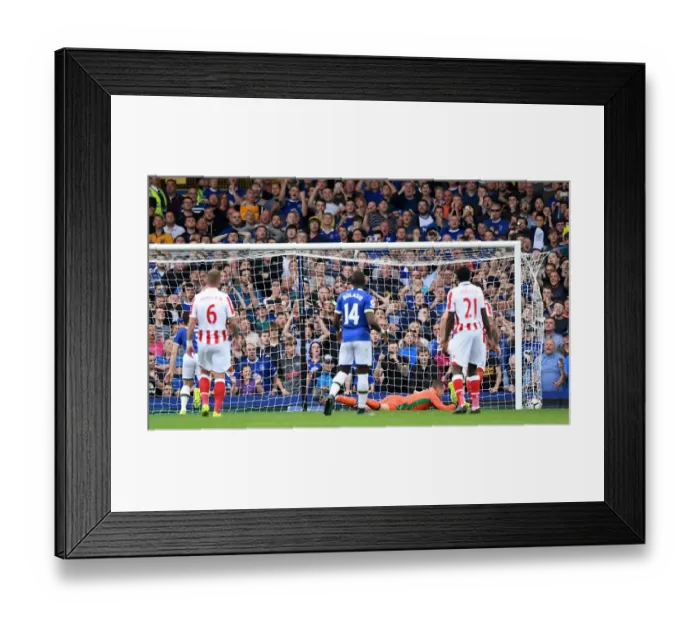 Framed Print : Everton vs Stoke City: Shay Given Scores Own Goal at Goodison Park Framed Print : Everton vs Stoke City: Shay Given Scores Own Goal at Goodison Park