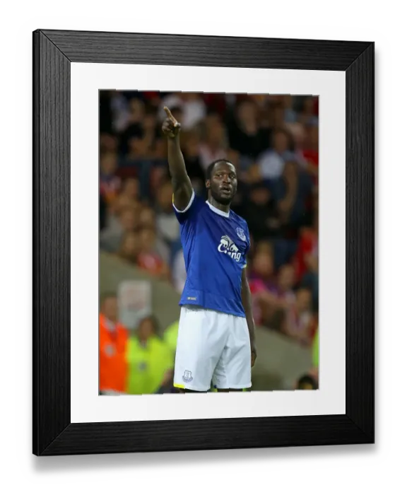 Framed Print : Everton's Romelu Lukaku Celebrates Scoring the Second Goal Against Sunderland in Premier League at Stadium of Light Framed Print : Everton's Romelu Lukaku Celebrates Scoring the Second Goal Against Sunderland in Premier League at Stadium of Light