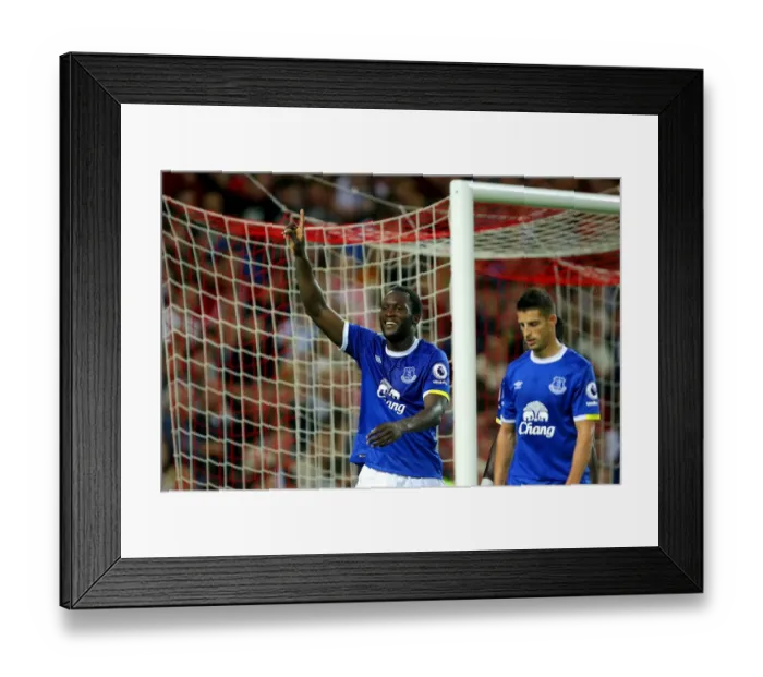 Framed Print : Everton's Romelu Lukaku Rejoices in Scoring His Second Goal Against Sunderland at Stadium of Light Framed Print : Everton's Romelu Lukaku Rejoices in Scoring His Second Goal Against Sunderland at Stadium of Light