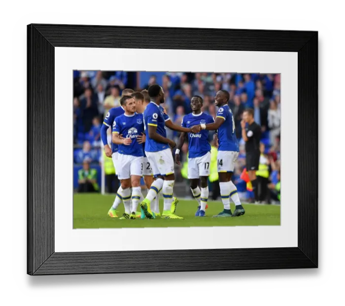Framed Print : Everton's Romelu Lukaku Scores Third Goal: Everton 3-0 Middlesbrough (Premier League) Framed Print : Everton's Romelu Lukaku Scores Third Goal: Everton 3-0 Middlesbrough (Premier League)