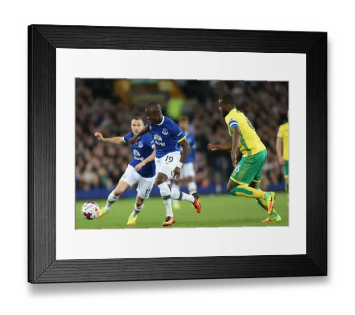 Framed Print : EFL Cup - Third Round - Everton v Norwich City - Goodison Park Framed Print : EFL Cup - Third Round - Everton v Norwich City - Goodison Park