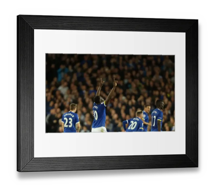 Framed Print : Everton's Romelu Lukaku: Celebrating a Goal Against Crystal Palace at Goodison Park, Premier League Framed Print : Everton's Romelu Lukaku: Celebrating a Goal Against Crystal Palace at Goodison Park, Premier League