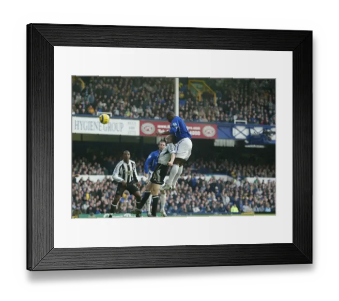 Framed Print : Everton's Unforgettable Triumph: Joseph Yobo Scores the Winning Goal Against Newcastle Framed Print : Everton's Unforgettable Triumph: Joseph Yobo Scores the Winning Goal Against Newcastle