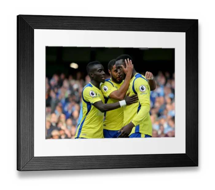 Framed Print : Everton's Victory at Manchester City: Idrissa Gueye and Ashley Williams Celebrate Romelu Lukaku's Goal Framed Print : Everton's Victory at Manchester City: Idrissa Gueye and Ashley Williams Celebrate Romelu Lukaku's Goal