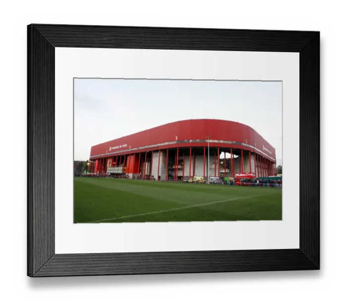 Framed Print : Everton at Stade Maurice Dufrasne: A UEFA Cup Battle against Standard Liege (2008) Framed Print : Everton at Stade Maurice Dufrasne: A UEFA Cup Battle against Standard Liege (2008)