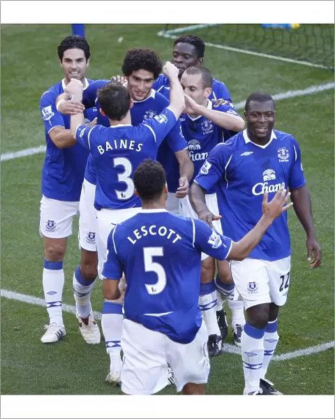 Marouane Fellaini's Brace: Everton's 2-0 Victory Over Newcastle United (08 / 09)