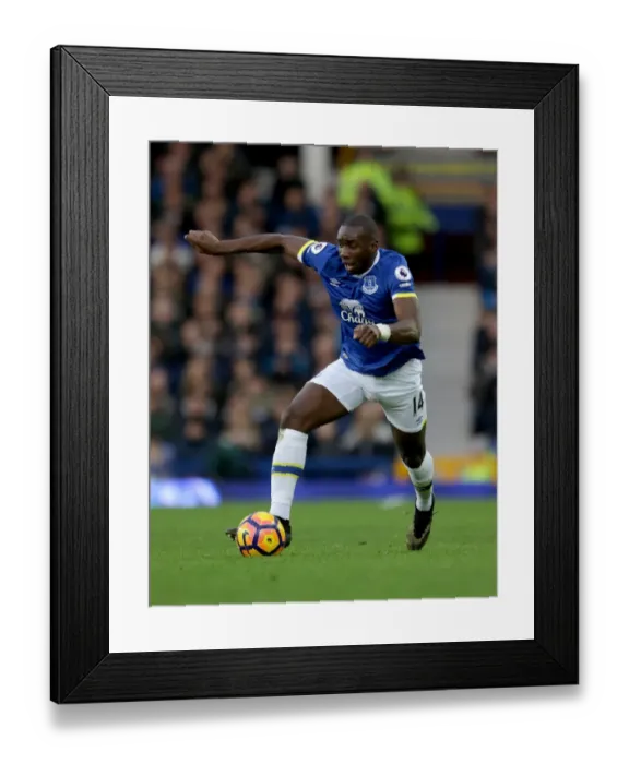 Framed Print : Everton vs Swansea City: A Premier League Showdown with Yannick Bolasie at Goodison Park Framed Print : Everton vs Swansea City: A Premier League Showdown with Yannick Bolasie at Goodison Park