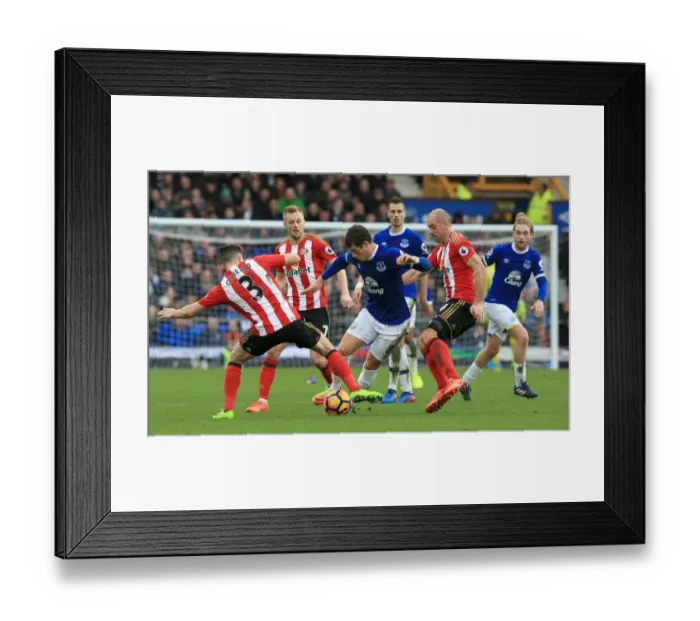 Framed Print : Everton vs Sunderland: Ross Barkley Clashes with Oviedo and Gibson at Goodison Park Framed Print : Everton vs Sunderland: Ross Barkley Clashes with Oviedo and Gibson at Goodison Park