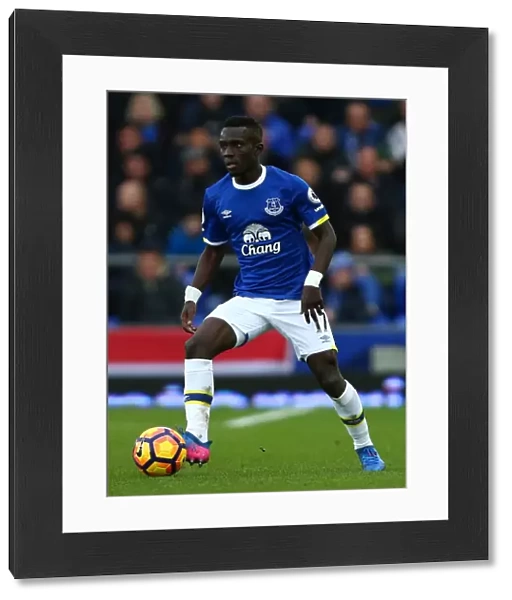 Idrissa Gueye in Action: Everton vs Sunderland at Goodison Park, Premier League