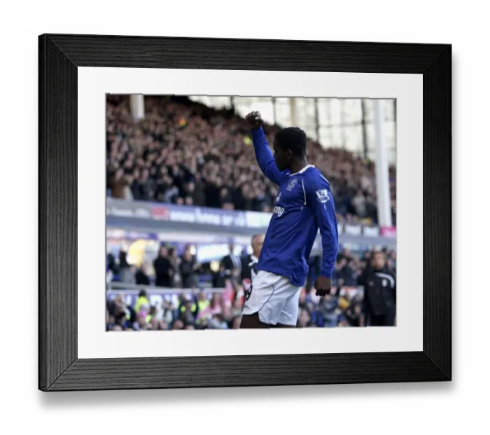 Framed Print : Louis Saha's Debut Goal: Everton vs. Fulham, Barclays Premier League 08 / 09 Framed Print : Louis Saha's Debut Goal: Everton vs. Fulham, Barclays Premier League 08 / 09