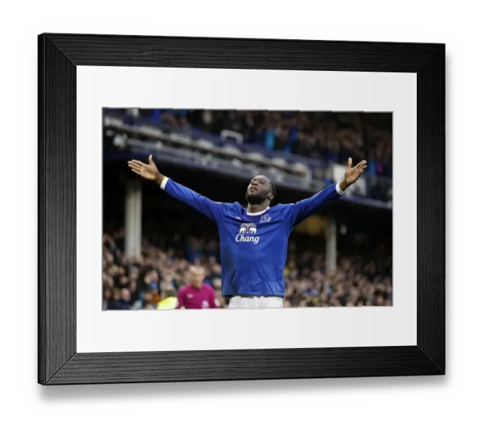Framed Print : Everton's Romelu Lukaku Celebrates Third Goal Against Hull City at Goodison Park
