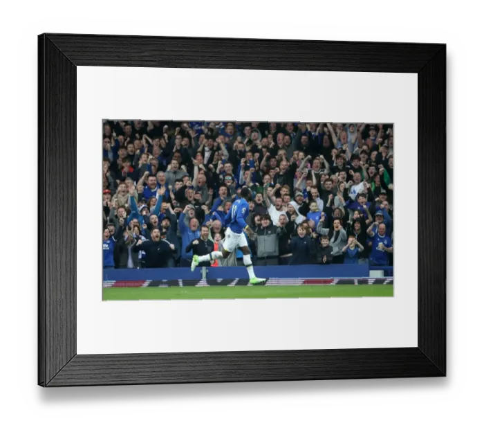 Framed Print : Everton's Romelu Lukaku Celebrates Scoring Four Goals vs. Leicester City (Premier League 2016-17, Everton v Leicester City, Goodison Park) Framed Print : Everton's Romelu Lukaku Celebrates Scoring Four Goals vs. Leicester City (Premier League 2016-17, Everton v Leicester City, Goodison Park)