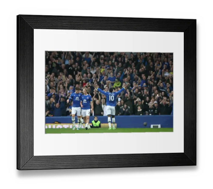 Framed Print : Romelu Lukaku's Brace: Everton's Dominance Over Leicester City (4-1, Premier League 2016-17, Goodison Park) Framed Print : Romelu Lukaku's Brace: Everton's Dominance Over Leicester City (4-1, Premier League 2016-17, Goodison Park)