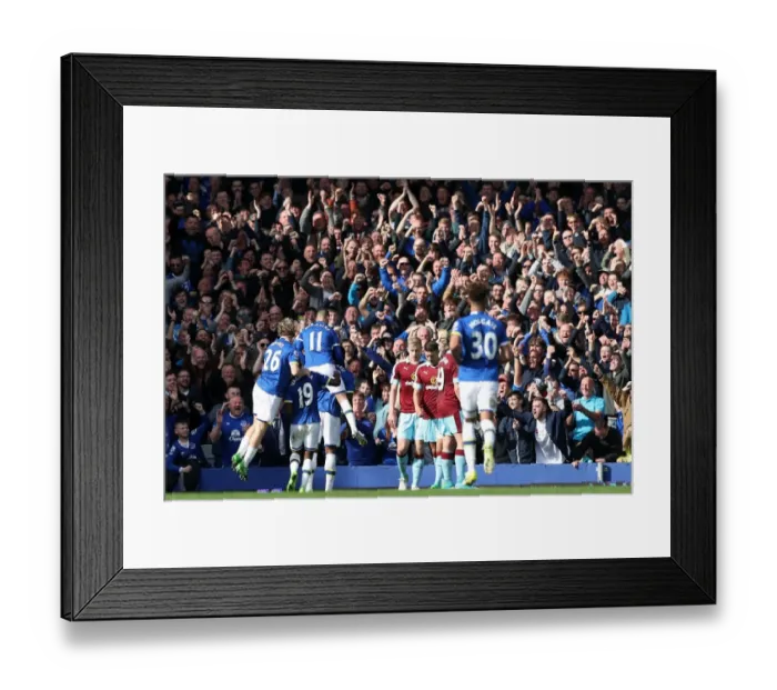 Framed Print : Everton's Romelu Lukaku Scores Third Goal, Celebrates with Team and Fans at Goodison Park (Premier League: Everton vs Burnley, 2016-17) Framed Print : Everton's Romelu Lukaku Scores Third Goal, Celebrates with Team and Fans at Goodison Park (Premier League: Everton vs Burnley, 2016-17)