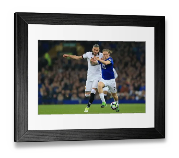 Framed Print : Battle for the Ball: Tom Davies vs. Valon Behrami - Everton vs. Watford, Premier League 2016-17, Goodison Park
