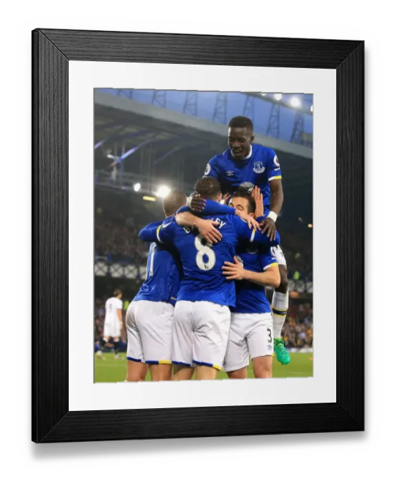 Framed Print : Everton's Ross Barkley Scores First Goal: Everton 1-0 Watford (Premier League 2016-17, Goodison Park) Framed Print : Everton's Ross Barkley Scores First Goal: Everton 1-0 Watford (Premier League 2016-17, Goodison Park)