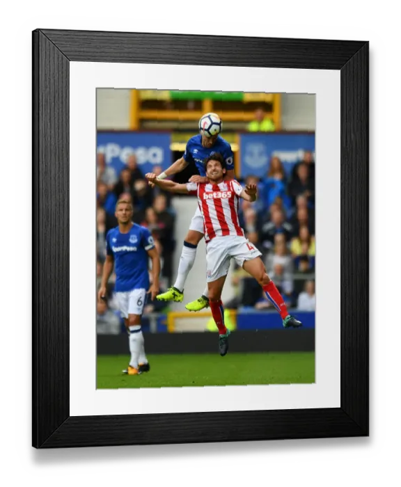 Framed Print : Everton vs Stoke City: Morgan Schneiderlin vs Joe Allen - Battle for the Ball (Premier League 2017-18, Everton v Stoke City, Goodison Park) Framed Print : Everton vs Stoke City: Morgan Schneiderlin vs Joe Allen - Battle for the Ball (Premier League 2017-18, Everton v Stoke City, Goodison Park)