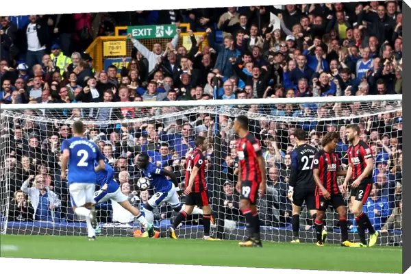 Everton's Oumar Niasse Celebrates First Goal Against AFC Bournemouth at Goodison Park