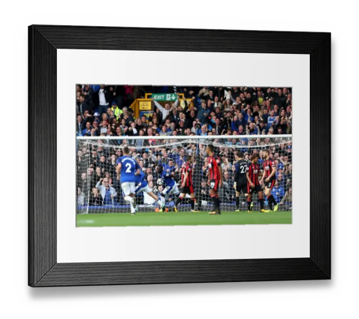 Framed Print : Everton's Oumar Niasse Celebrates First Goal Against AFC Bournemouth at Goodison Park Framed Print : Everton's Oumar Niasse Celebrates First Goal Against AFC Bournemouth at Goodison Park