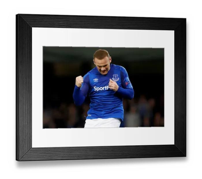 Framed Print : UEFA Europa League - Group E - Everton v Apollon Limassol - Goodison Park Framed Print : UEFA Europa League - Group E - Everton v Apollon Limassol - Goodison Park