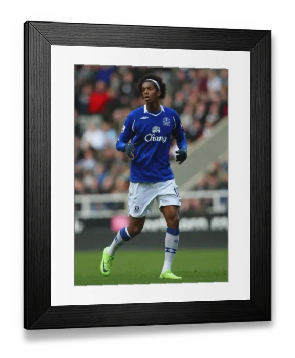 Framed Print : Jo in Action: Everton vs Newcastle United (Premier League, 2008-2009 Season, Game 22) Framed Print : Jo in Action: Everton vs Newcastle United (Premier League, 2008-2009 Season, Game 22)