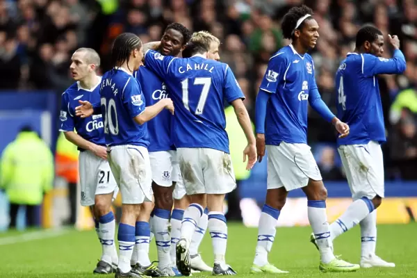 Everton's Louis Saha Scores the Decisive Goal: Everton 2-0 West Bromwich Albion (2009)