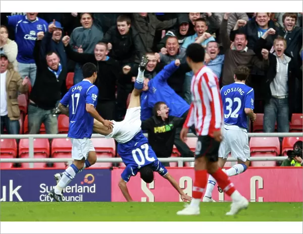 Steven Pienaar's Goal: Everton's Triumph at Sunderland in the Barclays Premier League, 2008-09