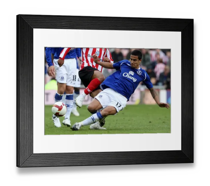Framed Print : Football - Sunderland v Everton - Barclays Premier Framed Print : Football - Sunderland v Everton - Barclays Premier