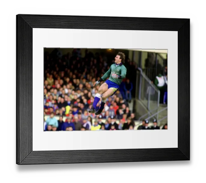 Framed Print : Neville Southall Framed Print : Neville Southall